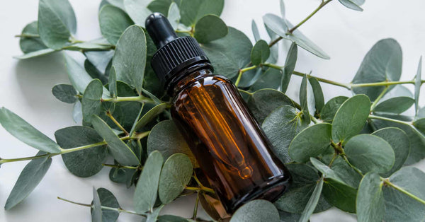Tea tree oil: what it's used for in cosmetics and how to use it without irritation