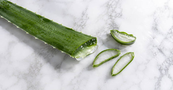 Aloe vera: qué hace en tu piel y cómo sacarle partido