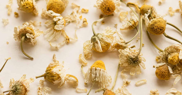 Bisabolol: What it is, what it's for, and why your sensitive skin will thank you