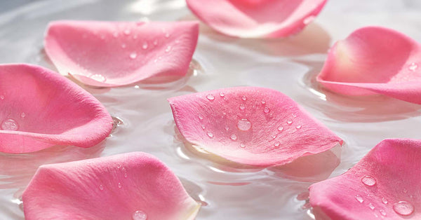 What is rose water and how can it help your skin