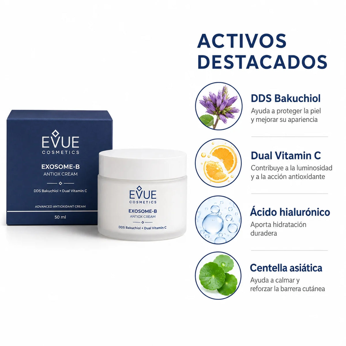 Exosome-B Antiox Cream